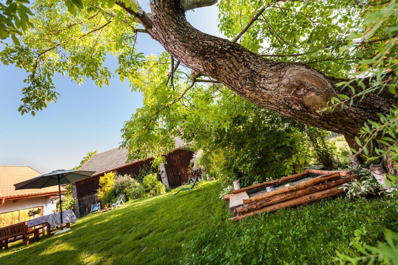 Villa Dom Pod Orzechem Łapczyce Exterior foto